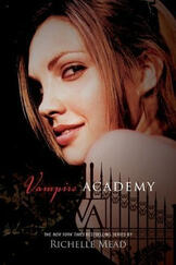 vampire academy (richelle mead)