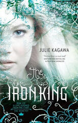 the iron fey (julie kagawa)